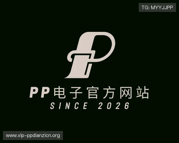 关于pp电子官方网站